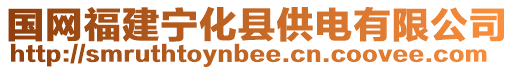 國(guó)網(wǎng)福建寧化縣供電有限公司