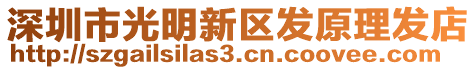 深圳市光明新區(qū)發(fā)原理發(fā)店