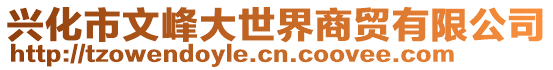 興化市文峰大世界商貿(mào)有限公司