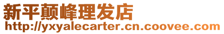 新平顛峰理發店