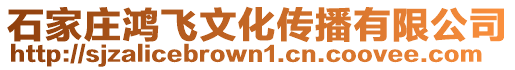 石家莊鴻飛文化傳播有限公司