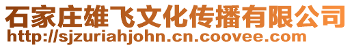 石家莊雄飛文化傳播有限公司