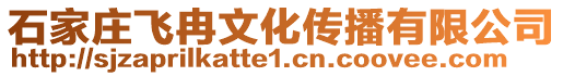 石家莊飛冉文化傳播有限公司