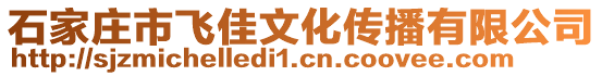 石家莊市飛佳文化傳播有限公司
