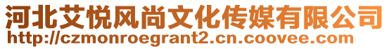 河北艾悅風尚文化傳媒有限公司