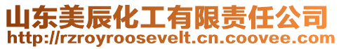 山東美辰化工有限責(zé)任公司