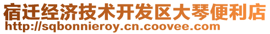 宿遷經濟技術開發(fā)區(qū)大琴便利店