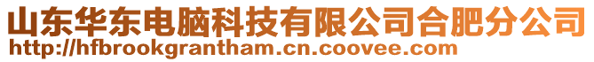 山東華東電腦科技有限公司合肥分公司