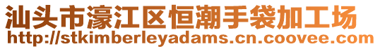 汕頭市濠江區(qū)恒潮手袋加工場