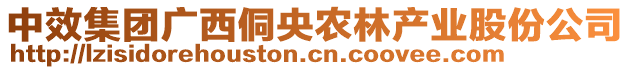 中效集團廣西侗央農(nóng)林產(chǎn)業(yè)股份公司