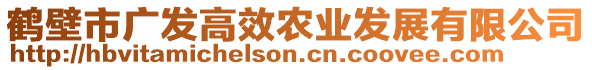 鶴壁市廣發(fā)高效農(nóng)業(yè)發(fā)展有限公司