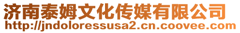 濟(jì)南泰姆文化傳媒有限公司