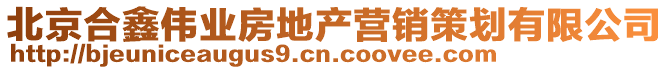 北京合鑫偉業房地產營銷策劃有限公司