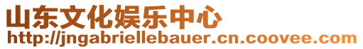 山東文化娛樂中心