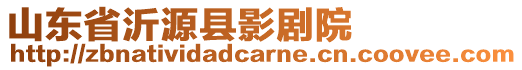 山東省沂源縣影劇院