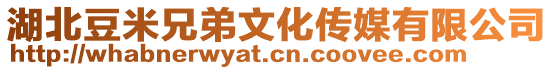 湖北豆米兄弟文化傳媒有限公司