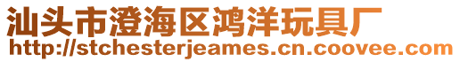 汕頭市澄海區鴻洋玩具廠