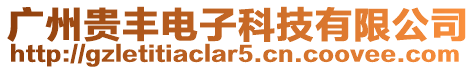 廣州貴豐電子科技有限公司