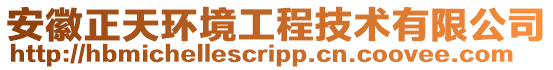 安徽正天環(huán)境工程技術(shù)有限公司