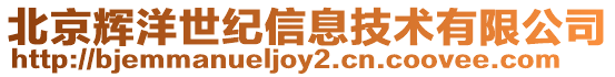 北京輝洋世紀信息技術有限公司