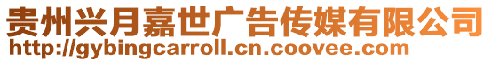 貴州興月嘉世廣告傳媒有限公司