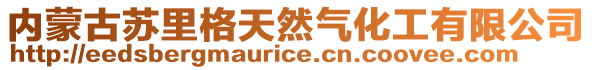 內(nèi)蒙古蘇里格天然氣化工有限公司