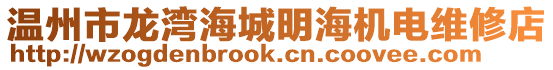 溫州市龍灣海城明海機電維修店