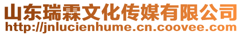 山東瑞霖文化傳媒有限公司