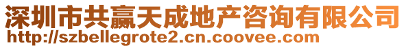 深圳市共贏天成地產(chǎn)咨詢有限公司