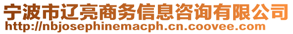 寧波市遼亮商務(wù)信息咨詢有限公司