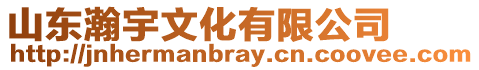 山東瀚宇文化有限公司