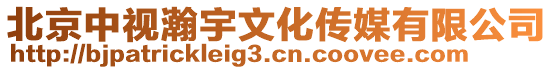 北京中視瀚宇文化傳媒有限公司