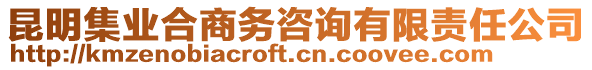 昆明集業(yè)合商務(wù)咨詢有限責(zé)任公司