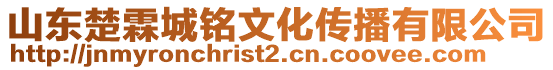 山東楚霖城銘文化傳播有限公司