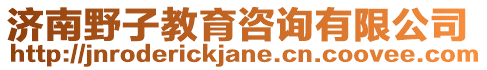 濟(jì)南野子教育咨詢有限公司