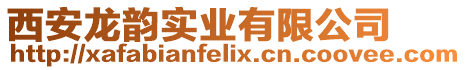 西安龍韻實業有限公司