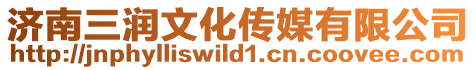 濟南三潤文化傳媒有限公司