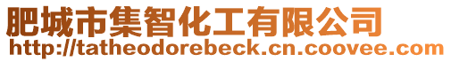 肥城市集智化工有限公司