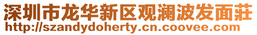 深圳市龍華新區(qū)觀瀾波發(fā)面莊