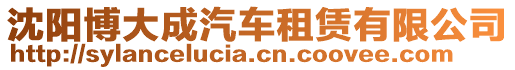 沈陽博大成汽車租賃有限公司