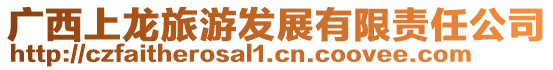 廣西上龍旅游發展有限責任公司