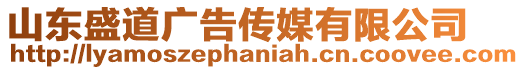 山東盛道廣告?zhèn)髅接邢薰? style=