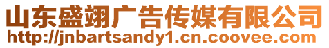 山東盛翊廣告傳媒有限公司