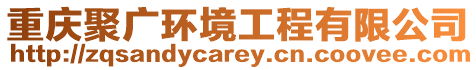 重慶聚廣環(huán)境工程有限公司