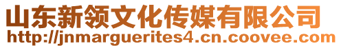 山東新領文化傳媒有限公司