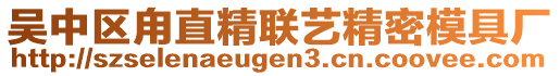 吳中區甪直精聯藝精密模具廠