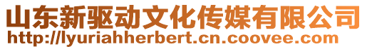 山東新驅動文化傳媒有限公司