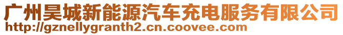 廣州昊城新能源汽車充電服務有限公司