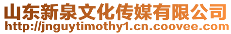 山東新泉文化傳媒有限公司