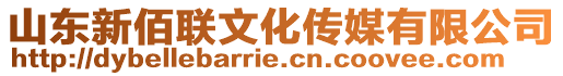 山東新佰聯文化傳媒有限公司